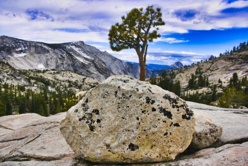 Olmsted Point Olmsted Point