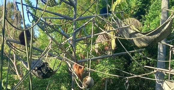 San Diego Zoo San Diego Zoo