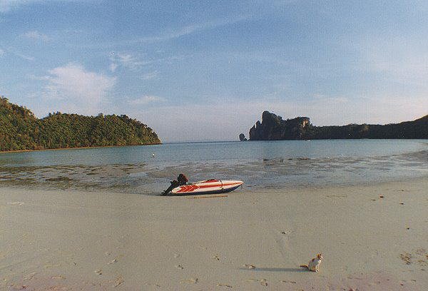 Loh Dalum Bay Phi Phi island