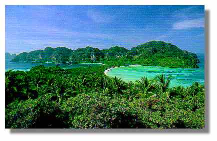 Phi Phi Viewpoint