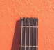 Steinberger Spirit XT25