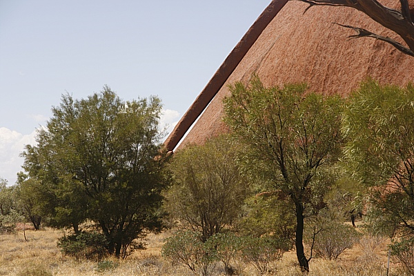 Kangaroo Tail Arch Kangaroo Tail Arch