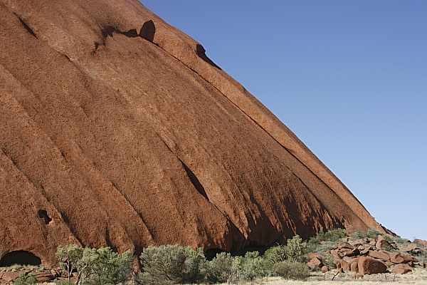 Kangaroo Tail Arch Kangaroo Tail Arch