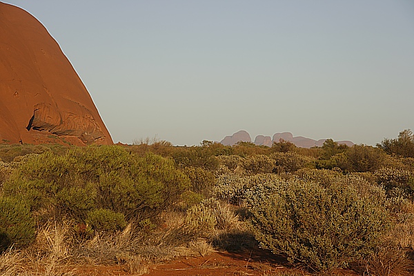 Die Olgas - vom Ayers Rock aus gesehen Die Olgas - vom Ayers Rock aus gesehen