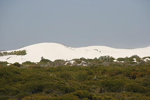 White Sands? White Sands?
