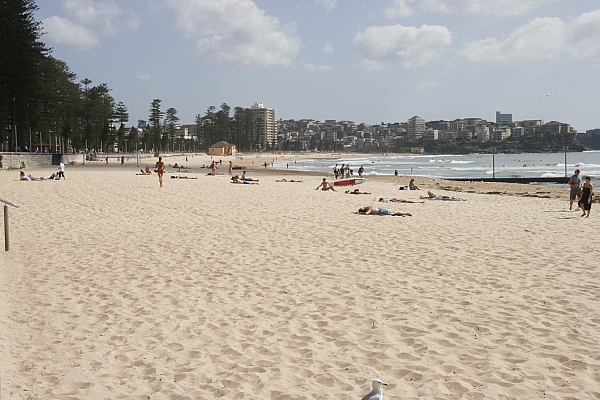 Manly Beach Manly Beach