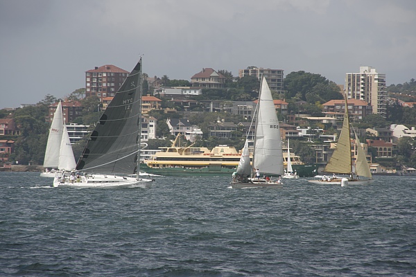 Hochbetrieb in der Bucht von Sydney Hochbetrieb in der Bucht von Sydney