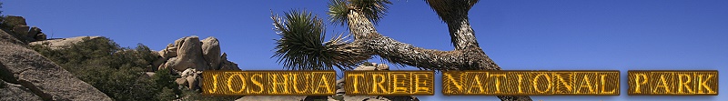 Joshua Tree National Park Bildergalerie