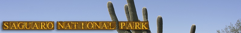 bannersag