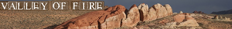 bannervof