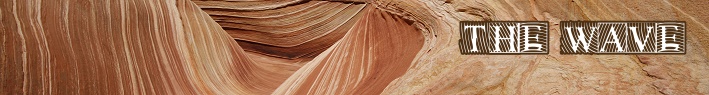 bannerwave