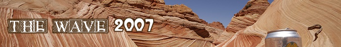 bannerwave07