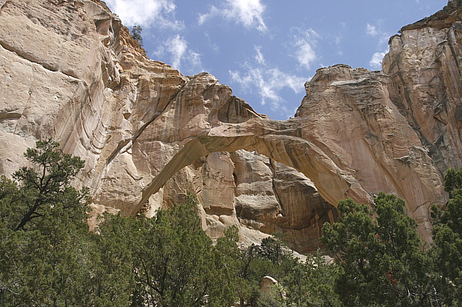 Ventana Arch