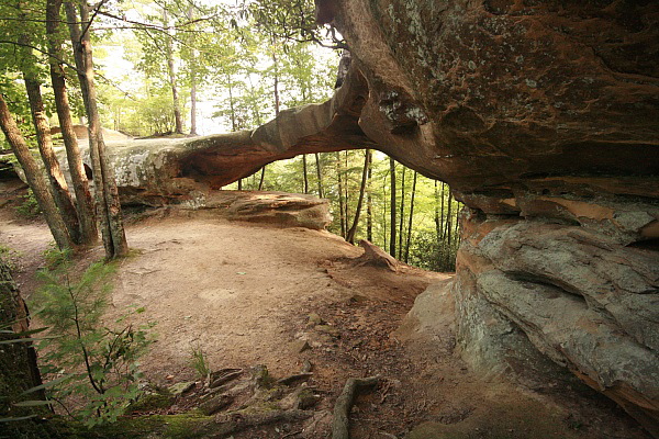 Princess Arch 
