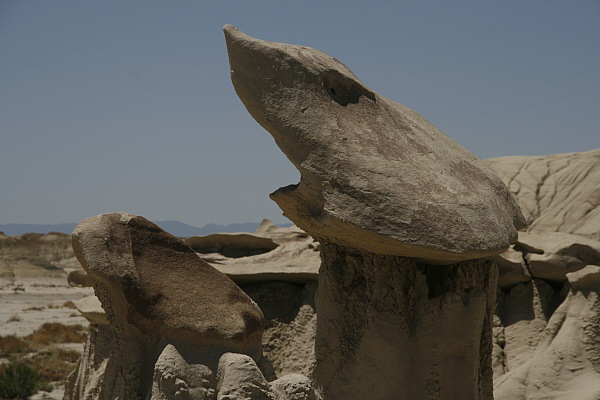 Bisti Wilderness Area North Unit