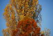 Indian Summer 2006 in Bochum 