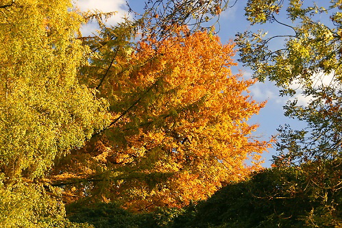 Indian Summer 2006 in Bochum 