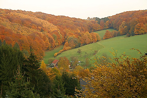 Indian Summer 2006