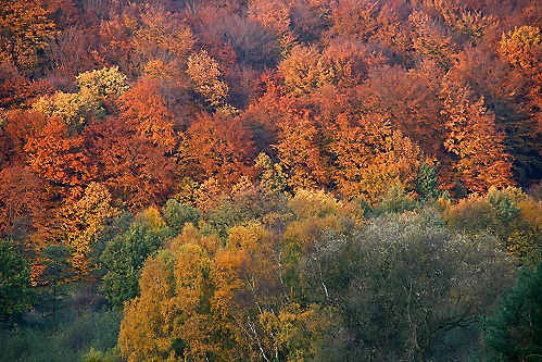 Indian Summer 2006
