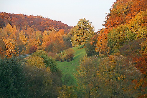 Indian Summer 2006