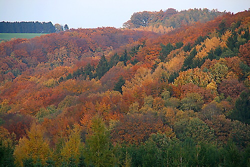 Indian Summer 2006