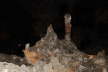 Carlsbad Caverns