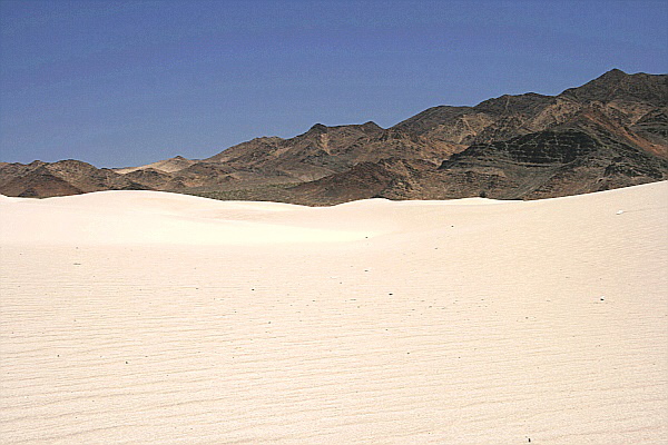 Dumont Little Dunes