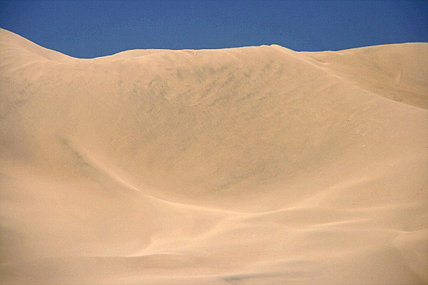 Dumont Dunes