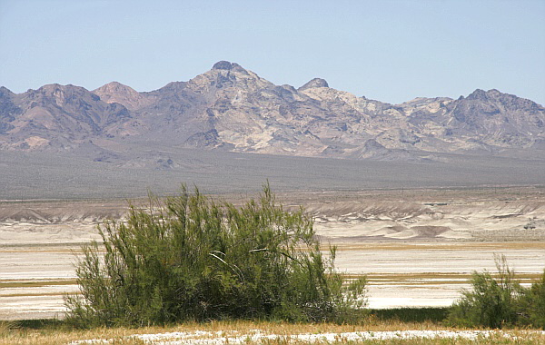 Tecopa Hot Springs