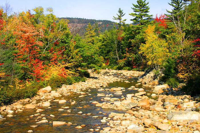 Indian Summer 2007