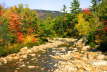 Indian Summer 2007