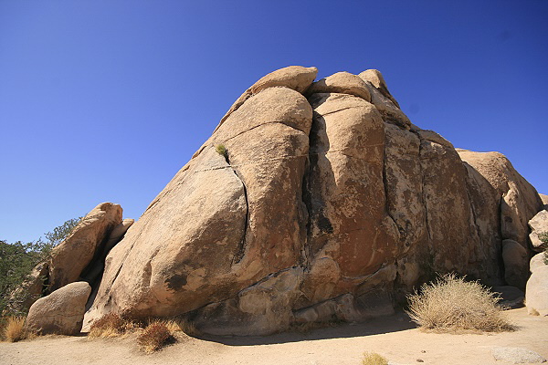 Joshua Tree National Park