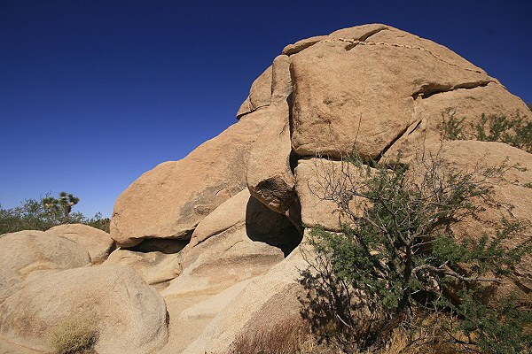 Joshua Tree National Park