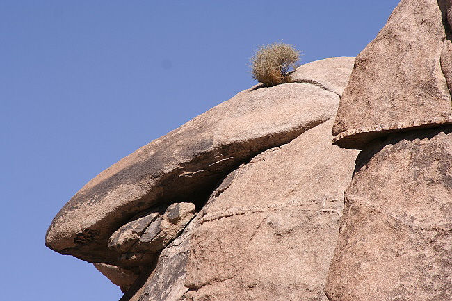 Joshua Tree National Park