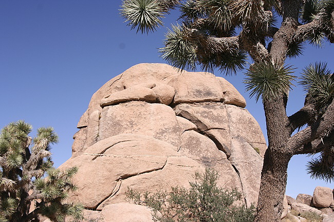 Joshua Tree National Park