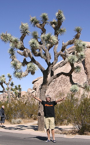 Joshua Tree National Park