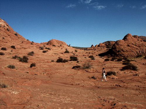 North Coyote Buttes