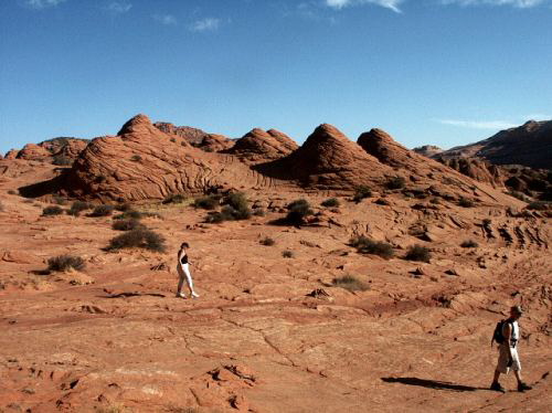 North Coyote Buttes