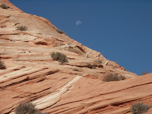 North Coyote Buttes