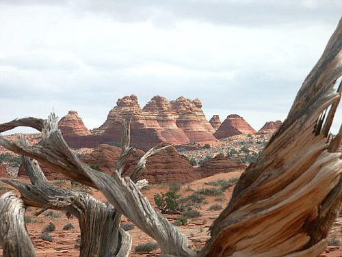 North Coyote Buttes