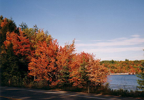 Indian Summer - New England