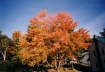 Indian Summer - New England