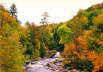 Indian Summer - New England