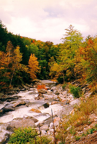 Indian Summer - New England