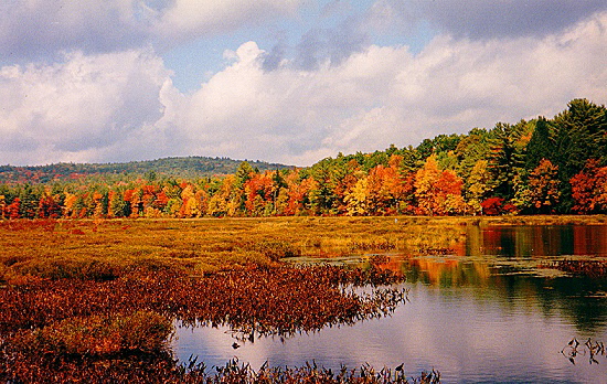 Indian Summer - New England