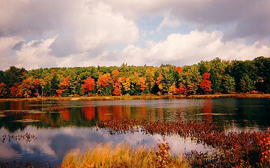 Indian Summer - New England