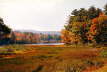 Indian Summer - New England