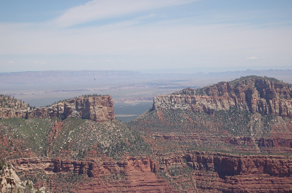 Grand Canyon - North Rim