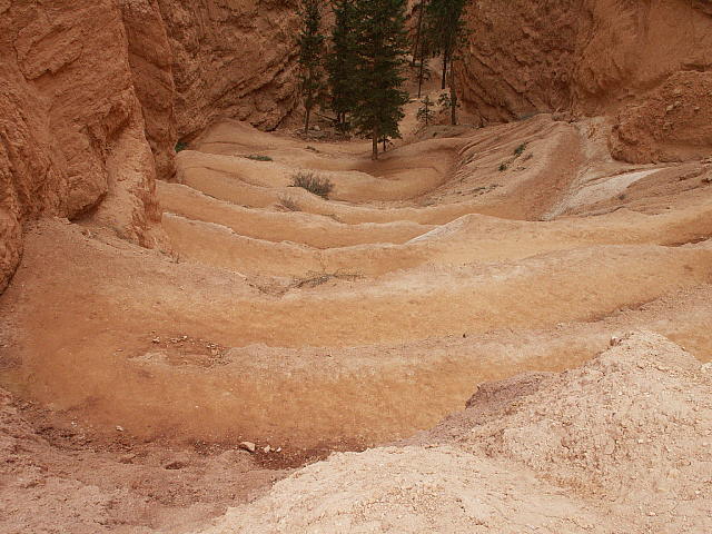 Queens Garden Trail
