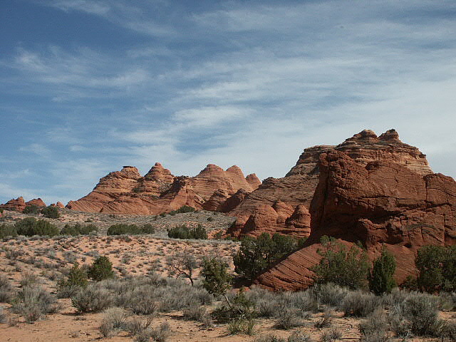 Paw Hole Teepees